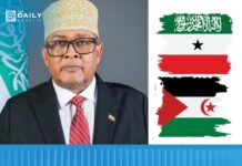 OP-ED: Abdirahman Irro Misreads Montevideo Convention in Telegraph Interview