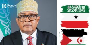 OP-ED: Abdirahman Irro Misreads Montevideo Convention in Telegraph Interview
