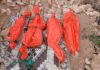 Airstrike in Somalia’s Puntland kills pregnant woman and three daughters