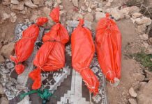 Airstrike in Somalia’s Puntland kills pregnant woman and three daughters