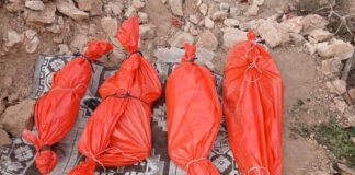 Airstrike in Somalia’s Puntland kills pregnant woman and three daughters