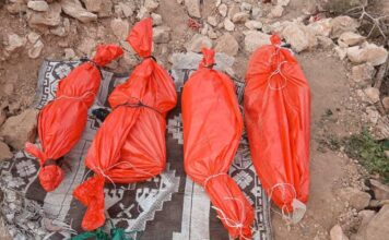 Airstrike in Somalia’s Puntland kills pregnant woman and three daughters
