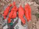 Airstrike in Somalia’s Puntland kills pregnant woman and three daughters
