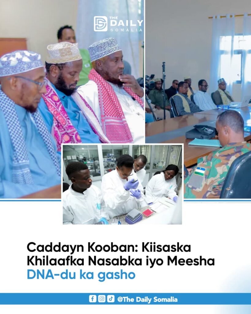 Caddayn Kooban: Kiisaska Khilaafka Nasabka iyo Meesha DNA-du ka Gasho